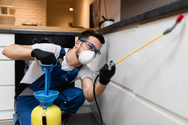 Best Cockroach Control Services  in Hawthorne, NV