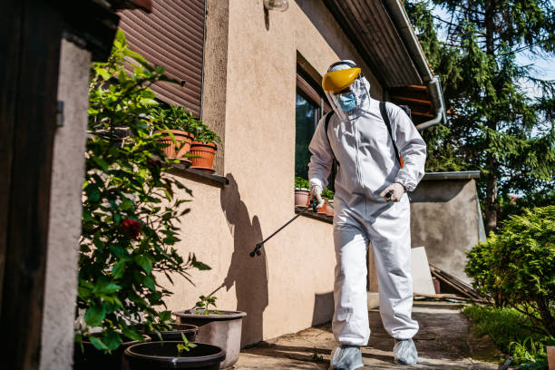 Best Termite Control Services  in Hawthorne, NV